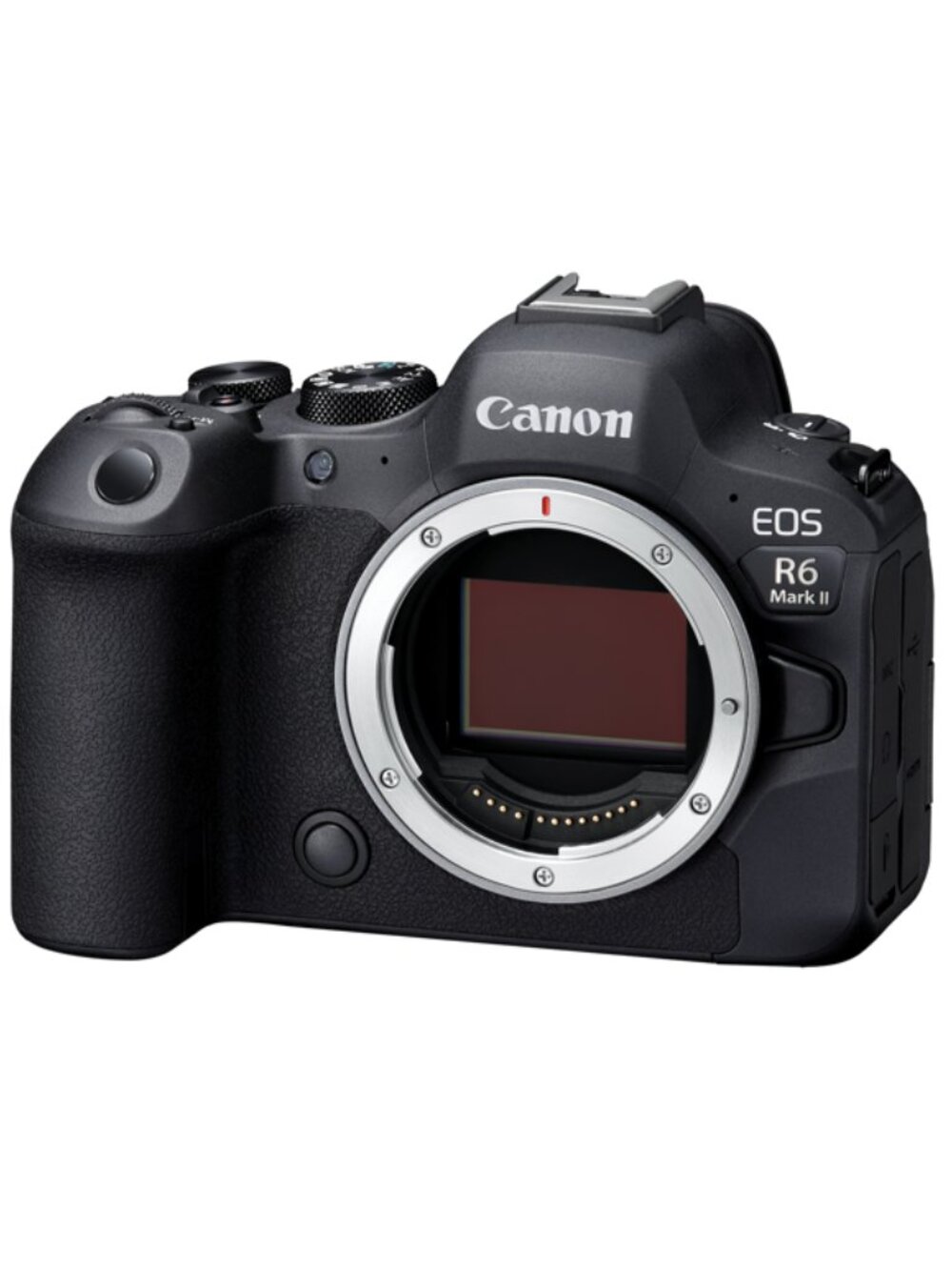 Canon EOS 6D Mark II Full-Frame Kit – 50mm f/1.8 STM + 75-300mm + Bag